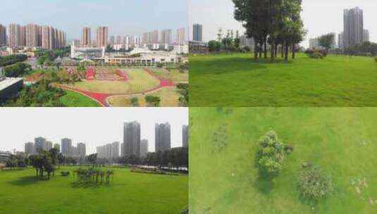 城市公园草地高清在线视频素材下载