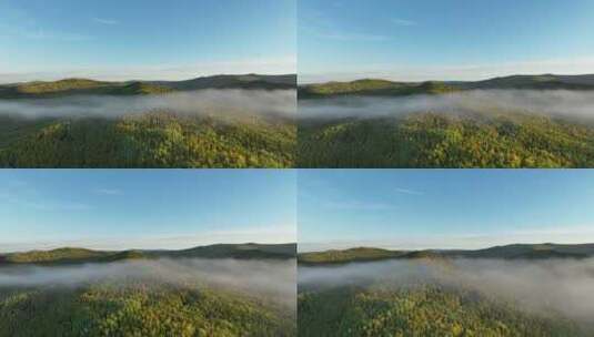 航拍秋季森林云雾缭绕高清在线视频素材下载