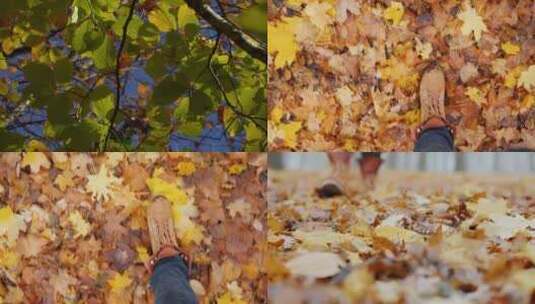 秋天 秋天落叶 秋天风景高清在线视频素材下载