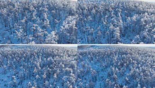林海雪原 唯美高山雾凇高清在线视频素材下载