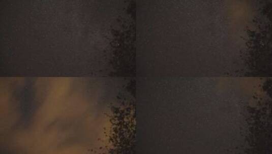 云朵掠过夜空，黑暗的树木剪影出现在前景中高清在线视频素材下载