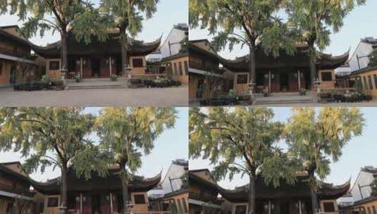 秋季苏州定慧寺古建筑自然风光高清在线视频素材下载