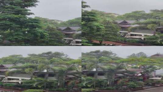 大雨中的西双版纳告庄街景：树木和民居高清在线视频素材下载