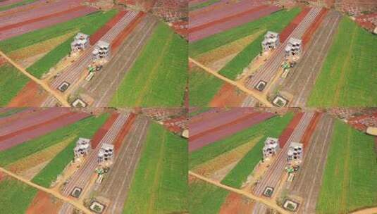 航拍农田与乡村住宅景观高清在线视频素材下载