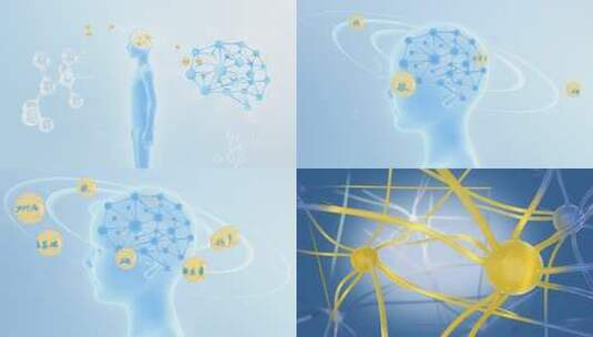 DHA修复激活大脑发育  脑黄金 矿物质吸收高清AE视频素材下载