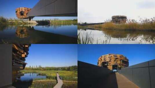 温榆河公园鸟屋高清在线视频素材下载