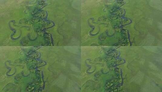 航拍伊根河湿地蜿蜒的河湾高清在线视频素材下载