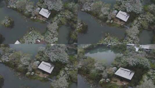 杭州西溪湿地雪景航拍高清在线视频素材下载