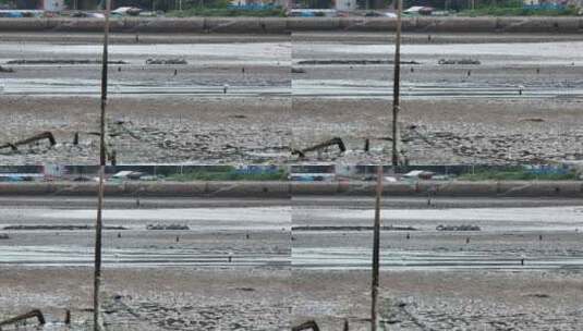 北岐滩涂湿地航拍空镜高清在线视频素材下载