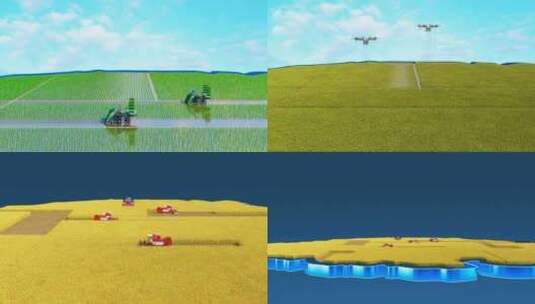 三维农田水稻展示动画高清在线视频素材下载
