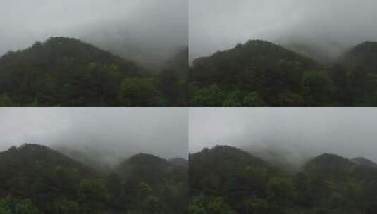 山林大雾高清在线视频素材下载