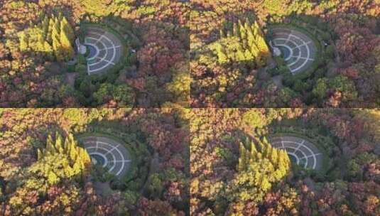 南京秋天 音乐台 中山陵风景区高清在线视频素材下载