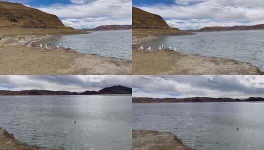 西藏湖泊高清在线视频素材下载