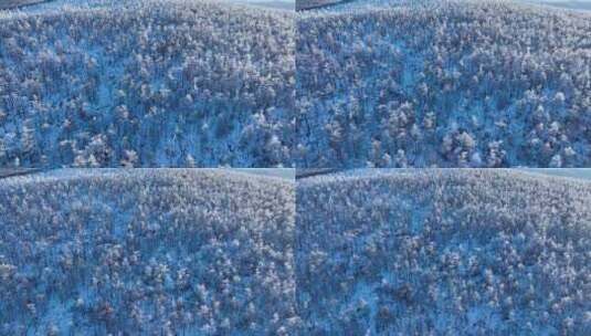林海雪原 唯美高山雾凇高清在线视频素材下载