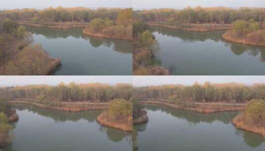 航拍济南平原田野农业湿地自然风光高清在线视频素材下载