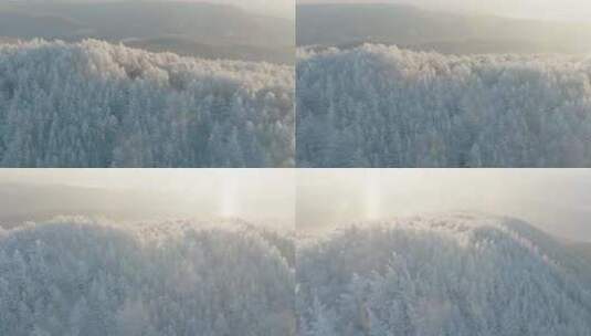 高山雾凇高清在线视频素材下载