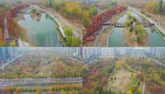 航拍枣庄薛城森林公园全景贯通高清在线视频素材下载