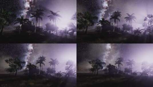 热带雨林上空的银河系高清在线视频素材下载