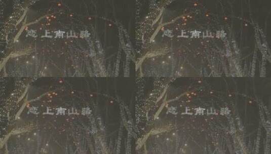 杭州西湖南山路夜景高清在线视频素材下载
