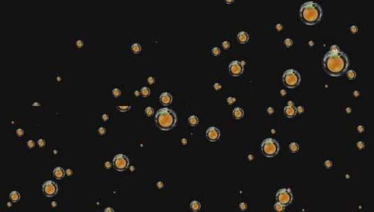 水果黄橙气泡粒子视频素材带通道高清在线视频素材下载