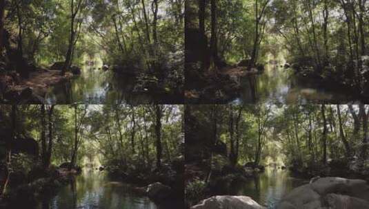 森林河流水汽雾气大自然 (2)高清在线视频素材下载