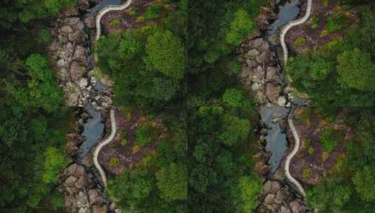 铜铃山国家森林公园高清在线视频素材下载