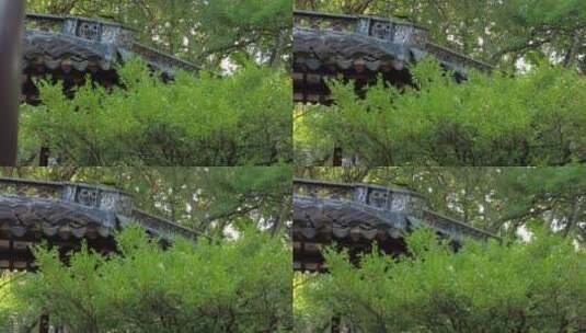 古建筑园林空镜实拍高清在线视频素材下载