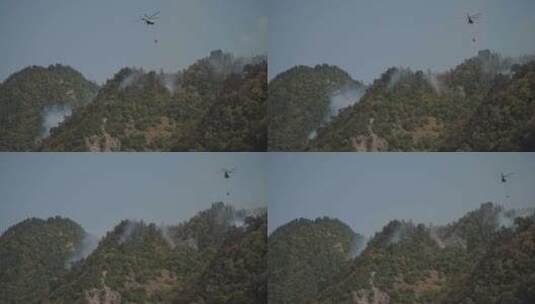 直升机参与森林火灾高清在线视频素材下载
