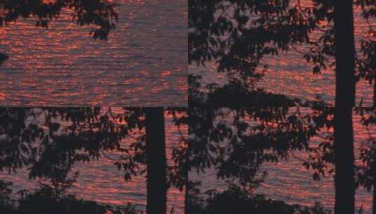 夕阳湖面水面反光倒影波光粼粼金光晚霞树影高清在线视频素材下载