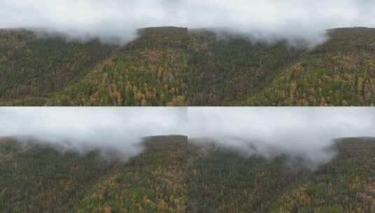 航拍秋季雨雾中的大兴安岭山林高清在线视频素材下载