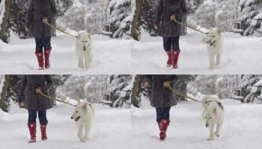 带着狗狗爬雪山高清在线视频素材下载