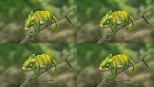 三维动物 高冠变色龙 蜥蜴 宠物 动画 动物高清在线视频素材下载