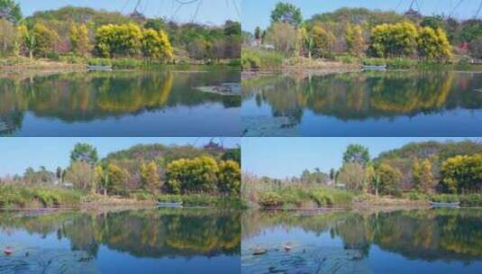 南宁青秀山公园湖泊树林自然风光高清在线视频素材下载