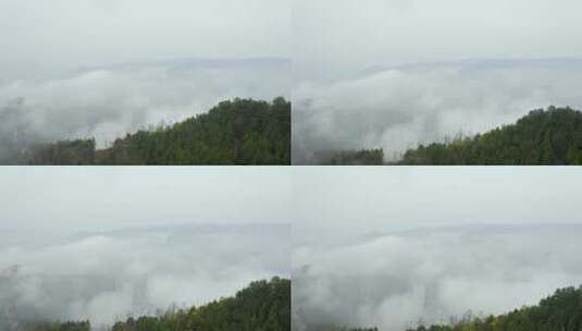 航拍 四川 云雾中的城市 俯瞰城市高清在线视频素材下载
