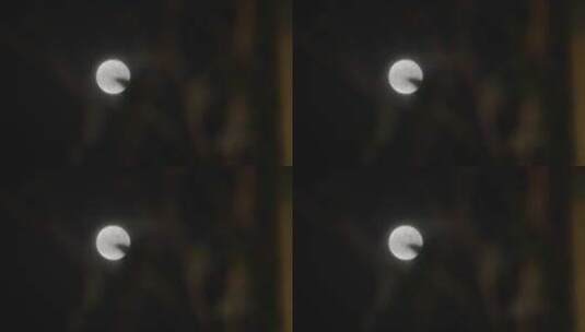 皎洁的月亮高清在线视频素材下载