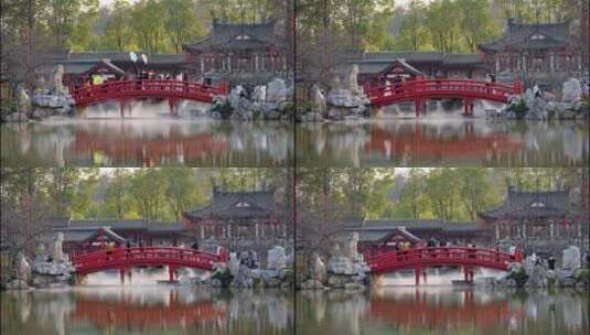 武汉东湖樱园过小桥的游客延时镜头高清在线视频素材下载