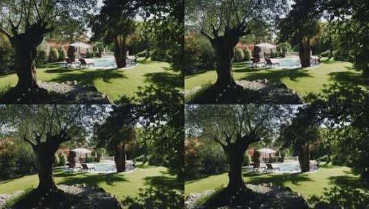 美丽豪华的花园高清在线视频素材下载