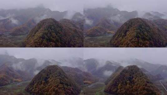 湖北神农架大九湖景区的阴雨秋天高清在线视频素材下载