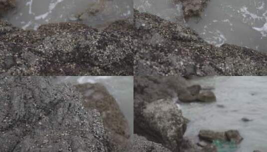 海岸礁石高清在线视频素材下载