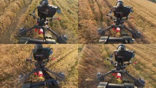x8穿越机飞越稻田麦田后部第三视角高清在线视频素材下载