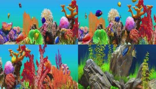 3D海底鱼群观赏鱼鱼缸8K宽屏无缝循环高清在线视频素材下载