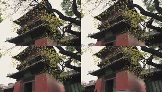 山西省大同市古建筑善化寺风光高清在线视频素材下载