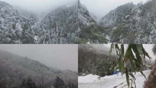 被雪覆盖的山林自然景象高清在线视频素材下载