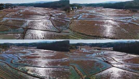 航拍农村逆光山间田地的俯瞰风光高清在线视频素材下载