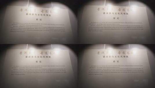 铜钱 博物馆 古代钱财 展览高清在线视频素材下载