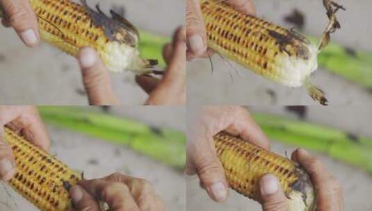 农村烤玉米高清在线视频素材下载