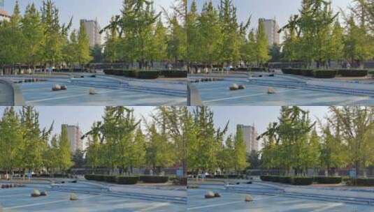 公园广场银杏树 4k视频高清在线视频素材下载