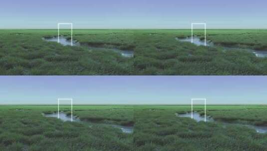 光影创意湿地意境高清在线视频素材下载