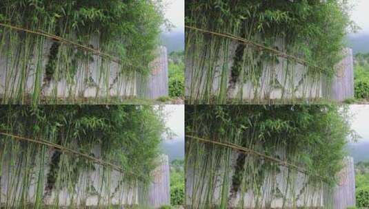 农村竹子围墙特写高清在线视频素材下载