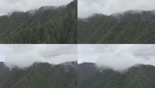 高山云雾绕高清在线视频素材下载
